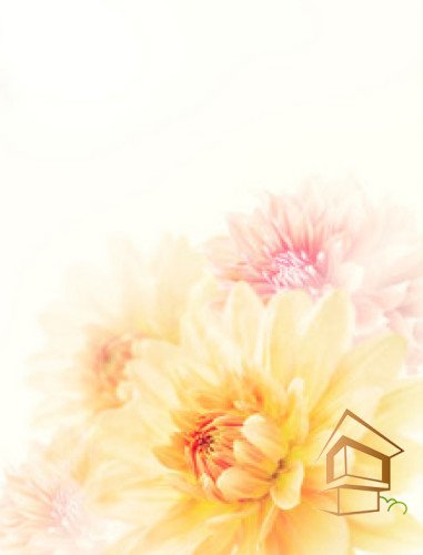 Натяжной потолок с фотопечатью Цветы 267 -  -