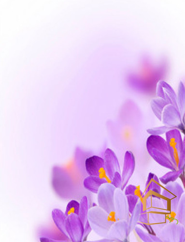 Натяжной потолок с фотопечатью Цветы 268 -  - 