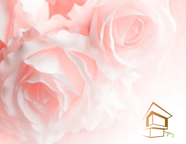 Натяжной потолок с фотопечатью Цветы 069 - -