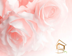 Натяжной потолок с фотопечатью Цветы 069