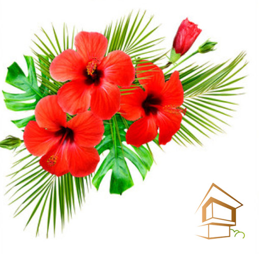 Натяжной потолок с фотопечатью Цветы 269 -  -