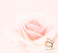 Натяжной потолок с фотопечатью Цветы 070