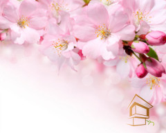 Натяжной потолок с фотопечатью Цветы 170