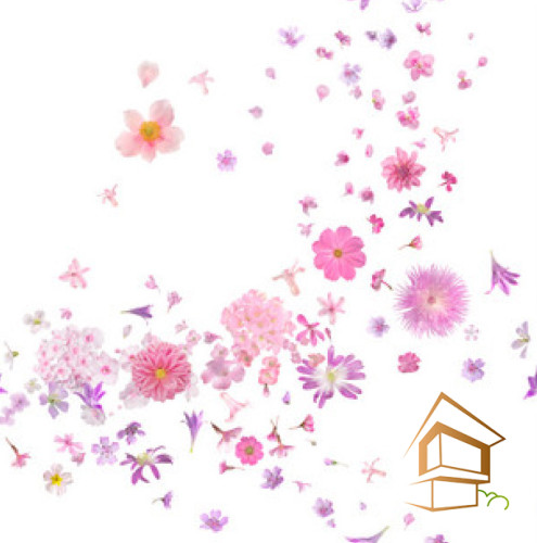 Натяжной потолок с фотопечатью Цветы 270 -  - 