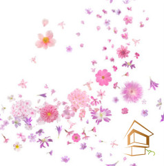 Натяжной потолок с фотопечатью Цветы 270