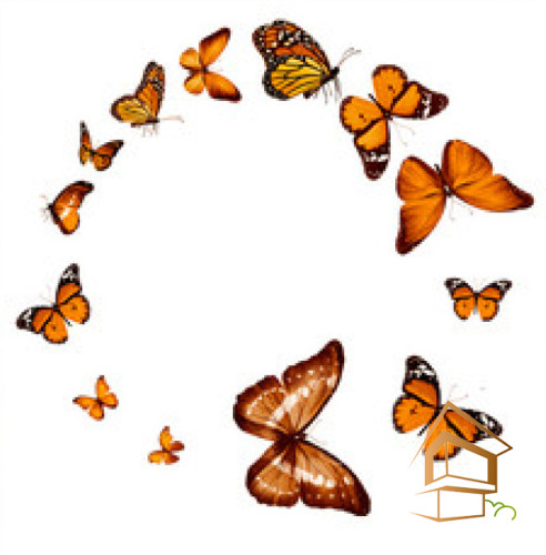 Натяжной потолок с фотопечатью Бабочки 048 -  - 