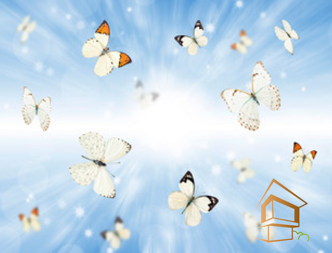 Натяжной потолок с фотопечатью Бабочки 009 -  - 