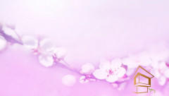 Натяжной потолок с фотопечатью Цветы 172