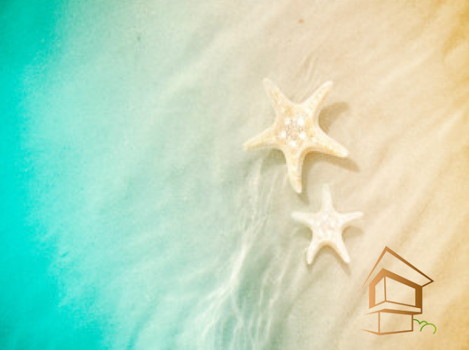 Натяжной потолок с фотопечатью Подводный мир 061 -  - 