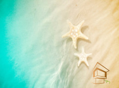 Натяжной потолок с фотопечатью Подводный мир 061