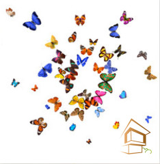 Натяжной потолок с фотопечатью Бабочки 050