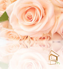 Натяжной потолок с фотопечатью Цветы 073