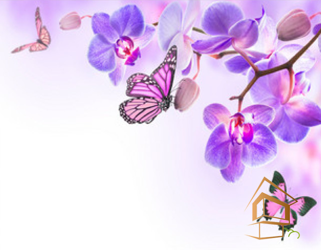 Натяжной потолок с фотопечатью Бабочки 011 -  - 