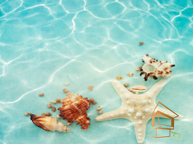 Натяжной потолок с фотопечатью Подводный мир 062 - -