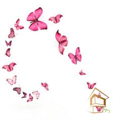 Натяжной потолок с фотопечатью Бабочки 052