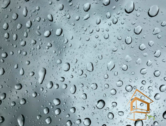 Натяжной потолок с фотопечатью Подводный мир 064 -  - 