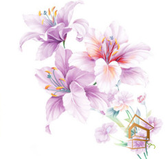 Натяжной потолок с фотопечатью Цветы 276