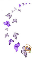 Натяжной потолок с фотопечатью Бабочки 055