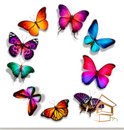 Натяжной потолок с фотопечатью Бабочки 016 -  - 