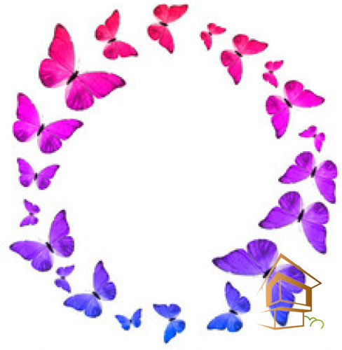 Натяжной потолок с фотопечатью Бабочки 056 - -