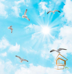 Натяжной потолок с фотопечатью Небо и объекты 110