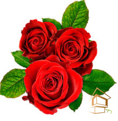 Натяжной потолок с фотопечатью Цветы 080