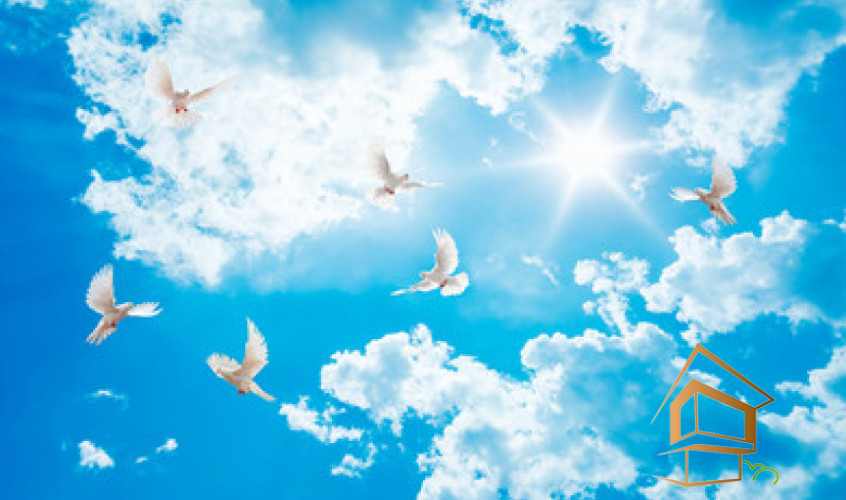 Натяжной потолок с фотопечатью Небо и объекты 111 - -