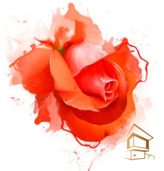 Натяжной потолок с фотопечатью Цветы 081