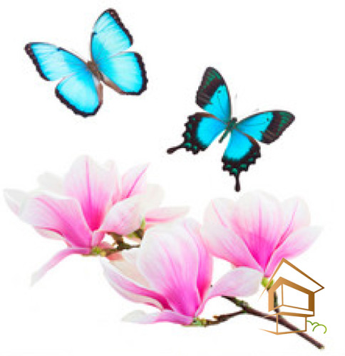 Натяжной потолок с фотопечатью Бабочки 019 -  - 