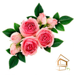 Натяжной потолок с фотопечатью Цветы 082