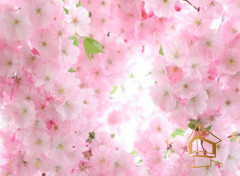 Натяжной потолок с фотопечатью Цветы 183