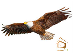 Натяжной потолок с фотопечатью Животный мир 022