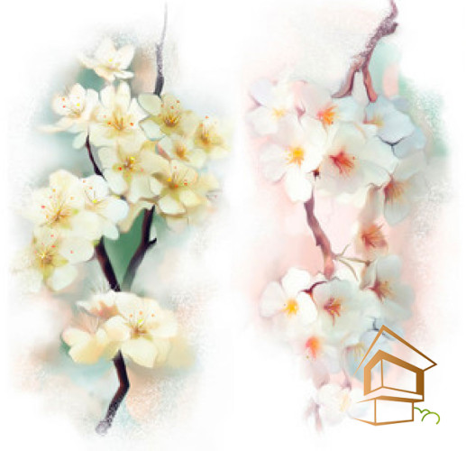 Натяжной потолок с фотопечатью Цветы 294 -  -