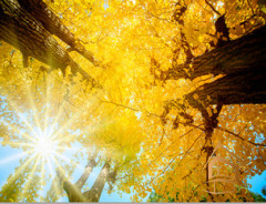 Натяжной потолок с фотопечатью Небо и объекты 115