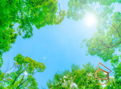 Натяжной потолок с фотопечатью Небо и объекты 116