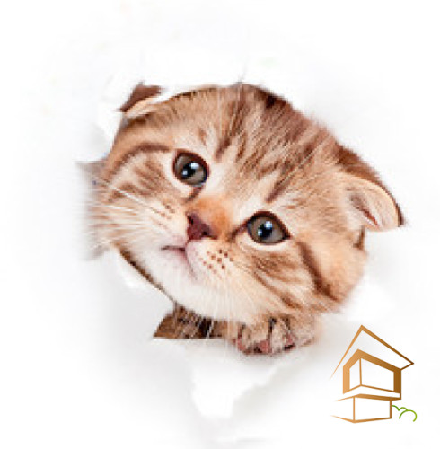 Натяжной потолок с фотопечатью Животный мир 025 - -