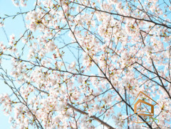 Натяжной потолок с фотопечатью Небо и объекты 117