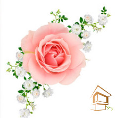 Натяжной потолок с фотопечатью Цветы 087