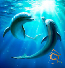 Натяжной потолок с фотопечатью Подводный мир 002