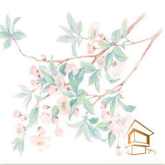 Натяжной потолок с фотопечатью Цветы 298