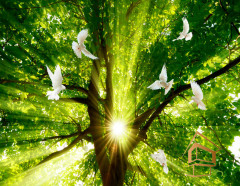 Натяжной потолок с фотопечатью Небо и объекты 119