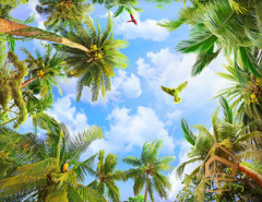 Натяжной потолок с фотопечатью Небо и объекты 002