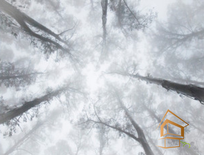 Натяжной потолок с фотопечатью Небо и объекты 120 - -