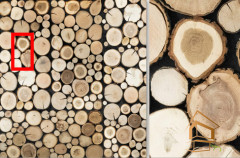 Натяжной потолок с фотопечатью Текстуры-дерево 029