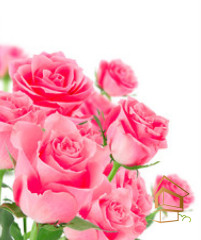 Натяжной потолок с фотопечатью Цветы 090