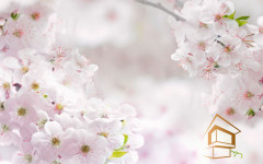 Натяжной потолок с фотопечатью Цветы 191