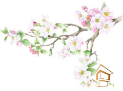 Натяжной потолок с фотопечатью Цветы 283