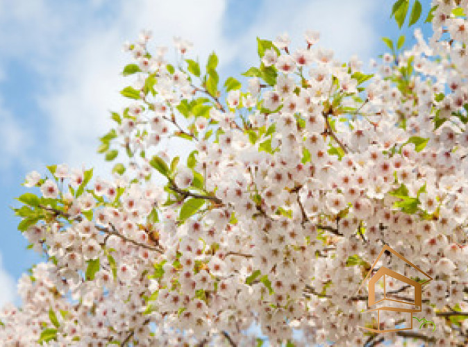 Натяжной потолок с фотопечатью Небо и объекты 124 - -