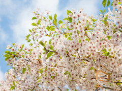 Натяжной потолок с фотопечатью Небо и объекты 124