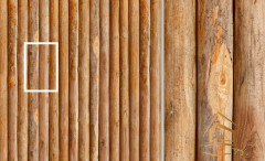 Натяжной потолок с фотопечатью Текстуры-дерево 033